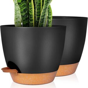 Decorative Flower Pots